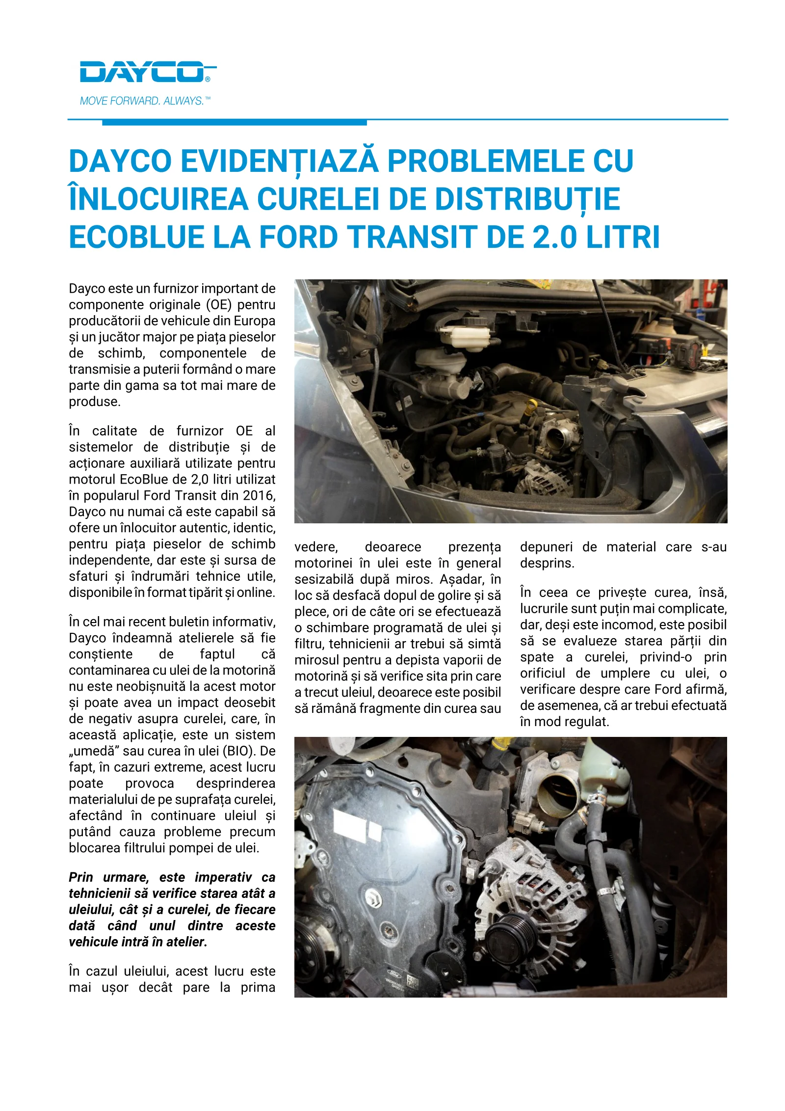Pagina 8