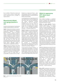 p.11